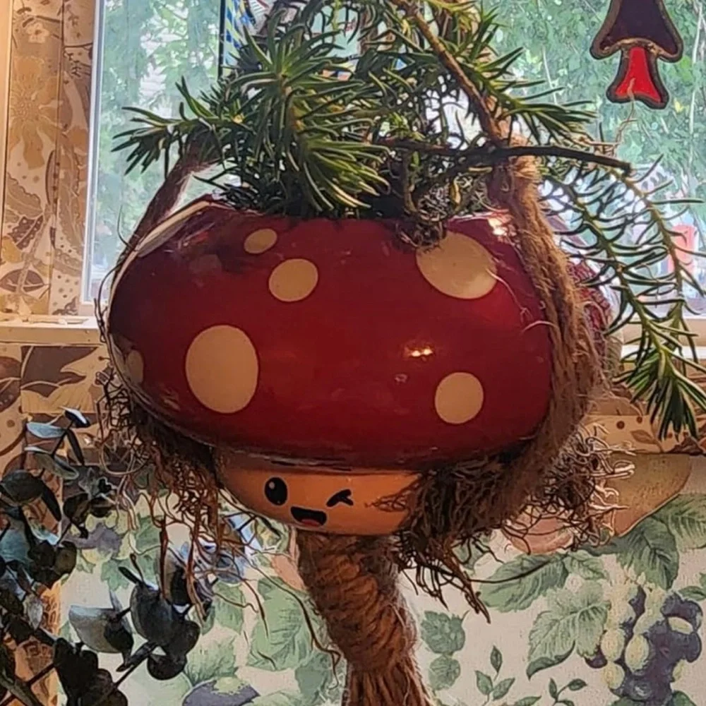 Shumiez Mushroom Planter, NIB 🍄 🌱 - Picture 15 of 16